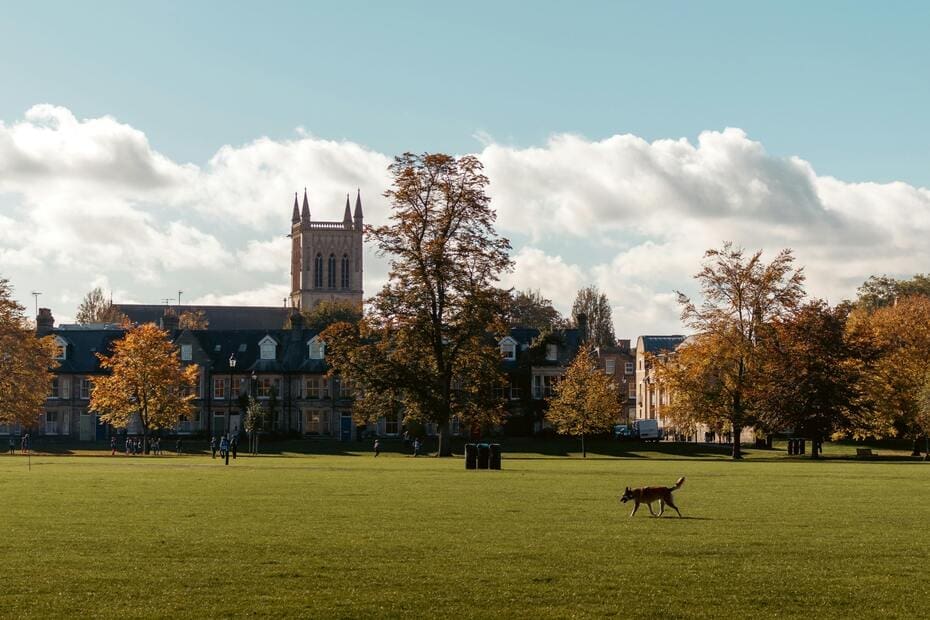 Silhouette of Cambridge university